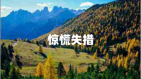 驚慌失措 驚慌失措