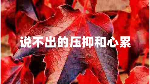 說(shuō)不出的壓抑和心累