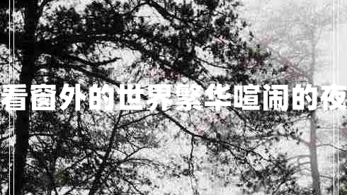 看窗外的世界繁華喧鬧的夜