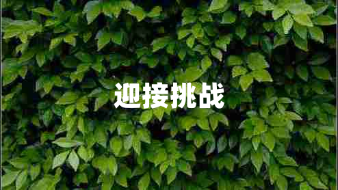 迎接挑戰(zhàn) 迎接挑戰(zhàn)