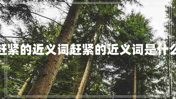 趕緊的近義詞趕緊的近義詞是什么 趕緊的近義詞趕緊的近義詞是什么