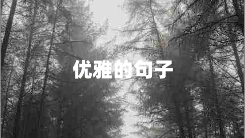 優(yōu)雅的句子 優(yōu)雅的句子