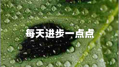 每天進(jìn)步一點(diǎn)點(diǎn)