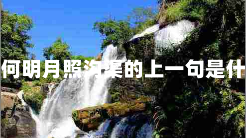 奈何明月照溝渠的上一句是什么