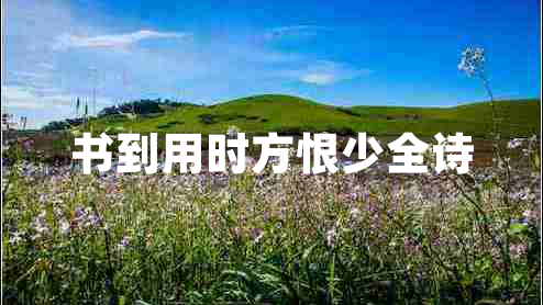 書到用時(shí)方恨少全詩(shī) 書到用時(shí)方恨少全詩(shī)