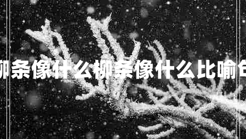 柳條像什么柳條像什么比喻句