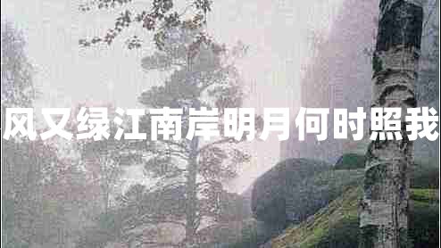春風(fēng)又綠江南岸明月何時照我還 春風(fēng)又綠江南岸明月何時照我還