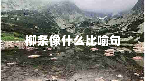 柳條像什么比喻句 柳條像什么比喻句