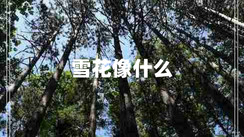 雪花像什么