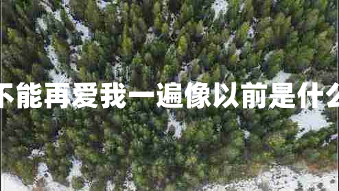 能不能再愛我一遍像以前是什么歌