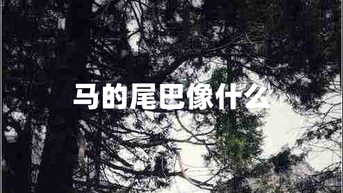 馬的尾巴像什么