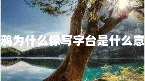 烏鴉為什么像寫(xiě)字臺(tái)是什么意思