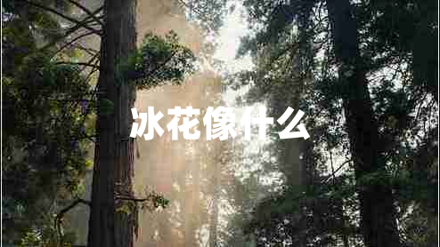 冰花像什么 冰花像什么
