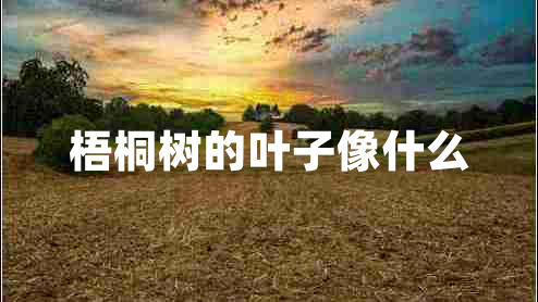 梧桐樹的葉子像什么