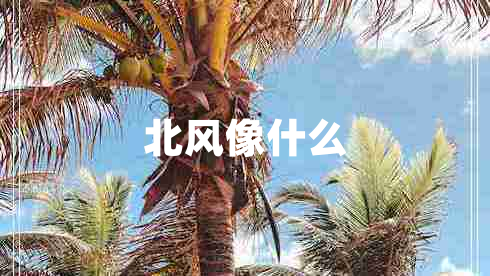 北風像什么