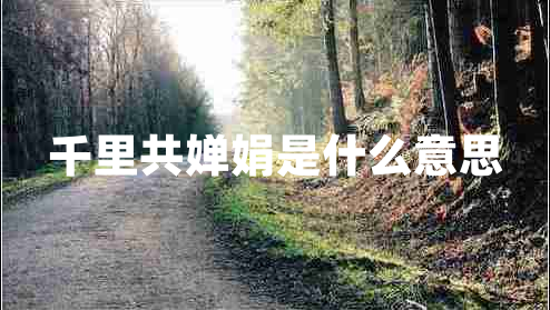 千里共嬋娟是什么意思