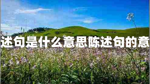 陳述句是什么意思陳述句的意思 陳述句是什么意思陳述句的意思