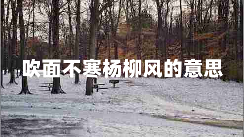 吹面不寒楊柳風(fēng)的意思 吹面不寒楊柳風(fēng)的意思