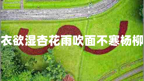 沾衣欲濕杏花雨吹面不寒楊柳風 沾衣欲濕杏花雨吹面不寒楊柳風