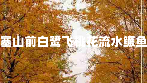 西塞山前白鷺飛桃花流水鱖魚肥 西塞山前白鷺飛桃花流水鱖魚肥