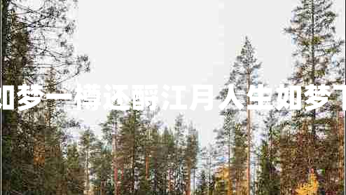 人生如夢一樽還酹江月人生如夢下一句