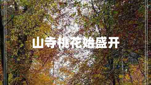 山寺桃花始盛開