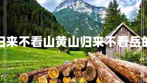 五岳歸來(lái)不看山黃山歸來(lái)不看岳的意思