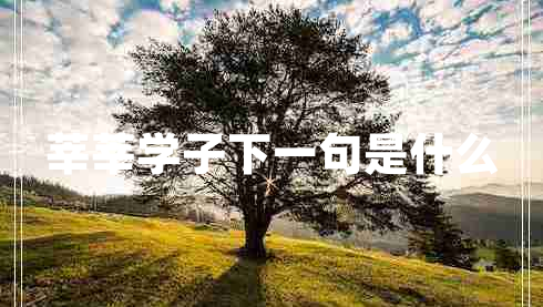 莘莘學子下一句是什么