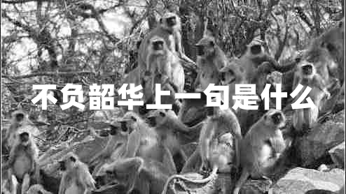 不負(fù)韶華上一句是什么 不負(fù)韶華上一句是什么