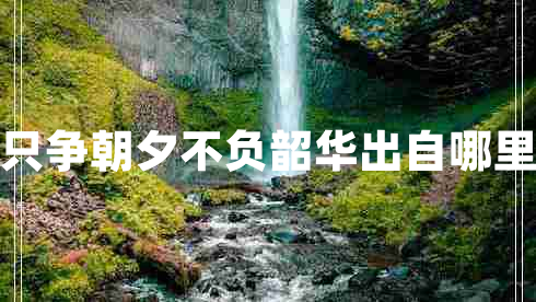 只爭(zhēng)朝夕不負(fù)韶華出自哪里 只爭(zhēng)朝夕不負(fù)韶華出自哪里