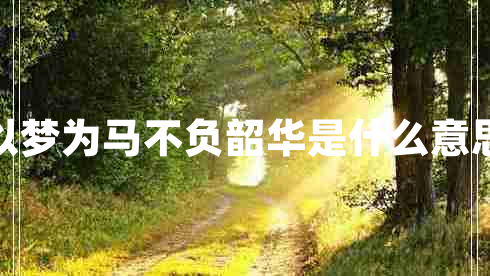 以夢為馬不負韶華是什么意思 以夢為馬不負韶華是什么意思
