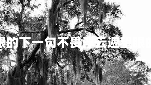 不畏浮云遮望眼的下一句不畏浮云遮望眼的下一句是什么 不畏浮云遮望眼的下一句不畏浮云遮望眼的下一句是什么