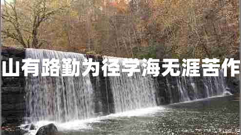 書山有路勤為徑學(xué)海無涯苦作舟