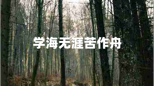 學海無涯苦作舟
