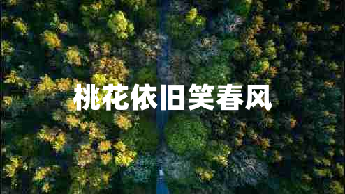 桃花依舊笑春風(fēng)