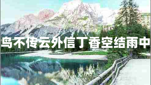 青鳥不傳云外信丁香空結(jié)雨中愁 青鳥不傳云外信丁香空結(jié)雨中愁