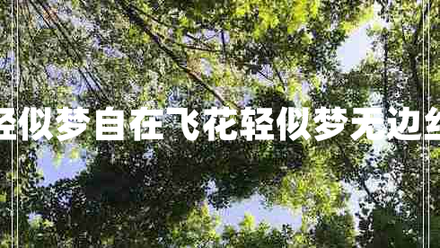 自在飛花輕似夢自在飛花輕似夢無邊絲雨細如愁 自在飛花輕似夢自在飛花輕似夢無邊絲雨細如愁