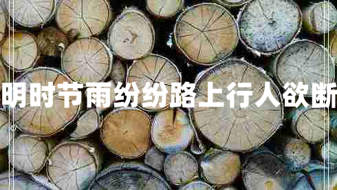 清明時節(jié)雨紛紛路上行人欲斷魂 清明時節(jié)雨紛紛路上行人欲斷魂