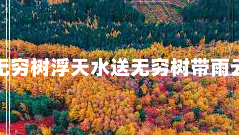 浮天水送無窮樹浮天水送無窮樹帶雨云埋一半山