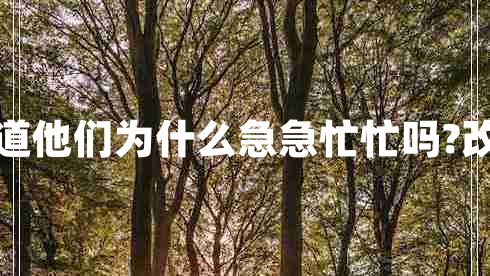 你不知道他們?yōu)槭裁醇奔泵γ?改陳述句 你不知道他們?yōu)槭裁醇奔泵γ?改陳述句