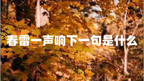 春雷一聲響下一句是什么