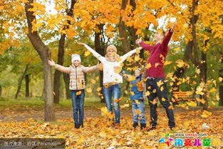 寫(xiě)景,作文,校園