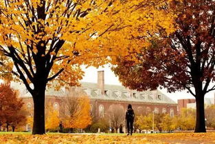 秋天校園的作文500字,秋天校園的作文500字初一,秋天校園的作文300字