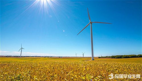 校園生活作文700字高中