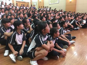 校園欺凌作文小學(xué)六級(jí)