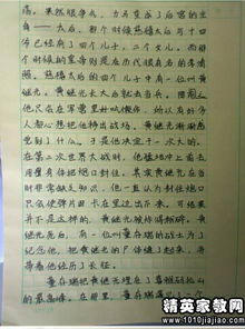 校園運動會新聞作文300字