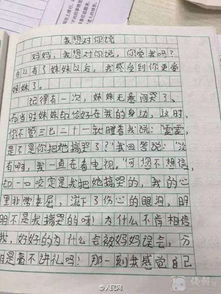 5級作文春滿校園400