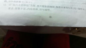 校園是樂(lè)園350字作文