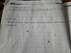 我們的校園150字三級作文