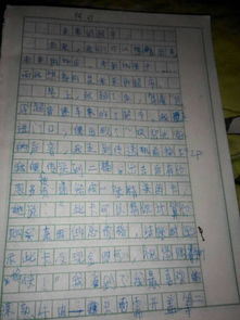校園超市的壞處作文300字